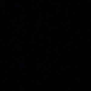 Meet your Posher, Dayanara